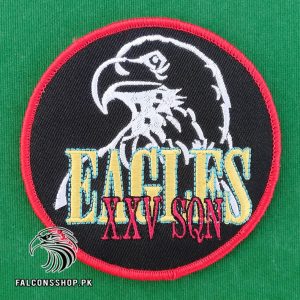 Night Strike Eagles Squadron Patch 1