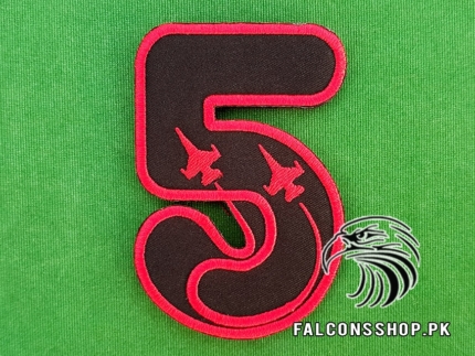 Falcons Five F-16 Patch