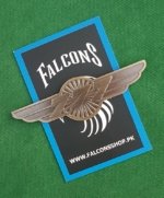 Boeing 777 Wings Pin